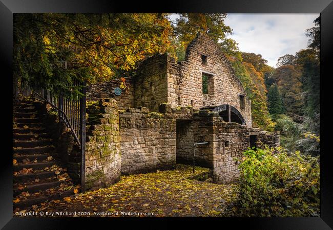 Old Mill at Jesmond Dene Framed Print by Ray Pritchard