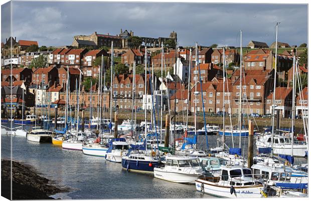 Whitby Marina Canvas Print by graham young