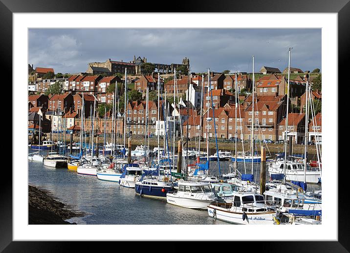 Whitby Marina Framed Mounted Print by graham young