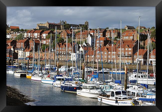 Whitby Marina Framed Print by graham young