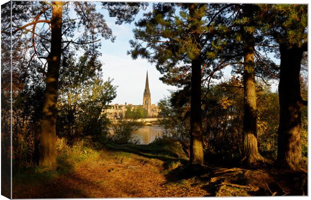 A view from Moncreiffe Island, Perth Scotland Canvas Print by Navin Mistry