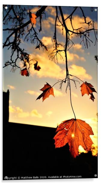 Autumn Sunset Falls Acrylic by Matthew Balls