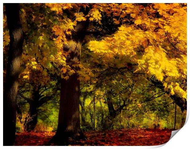 Yellow Forest Print by Elaine Manley