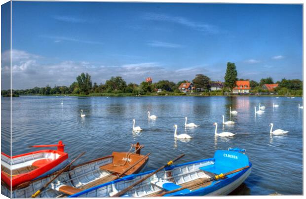 Swans and Boats, Thorpeness  Canvas Print by David Stanforth