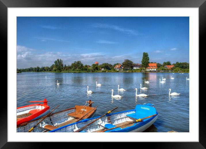 Swans and Boats, Thorpeness  Framed Mounted Print by David Stanforth
