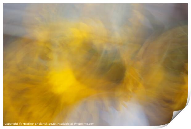 Abstract Sunflowers In Motion Print by Heather Sheldrick