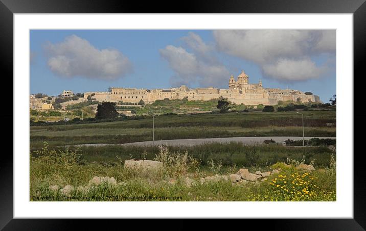 Mdina, Malta Framed Mounted Print by Carole-Anne Fooks