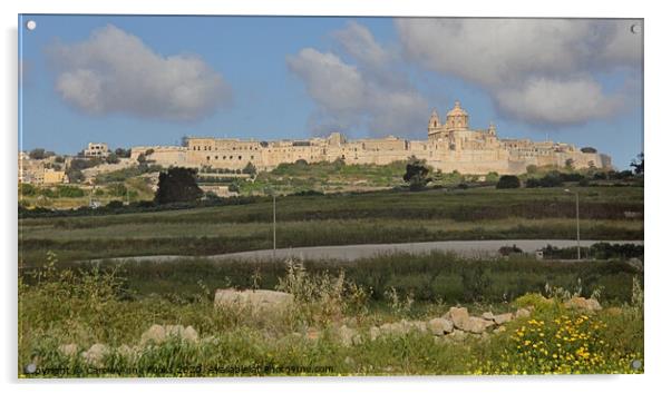 Mdina, Malta Acrylic by Carole-Anne Fooks