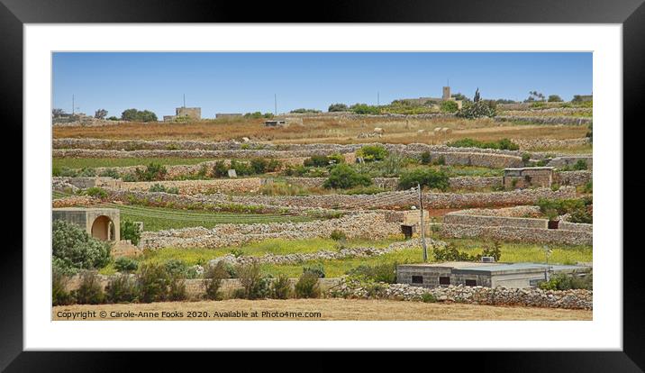 Agricultural Terraces, Malta. Framed Mounted Print by Carole-Anne Fooks