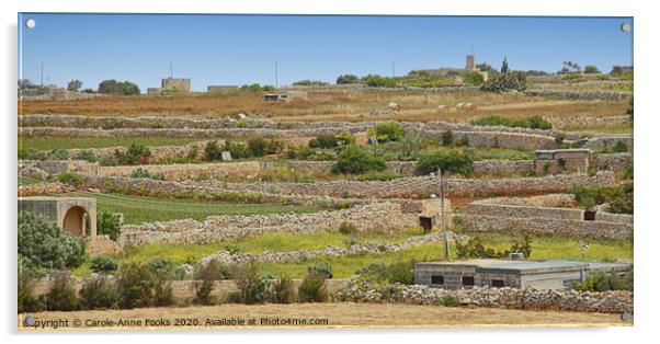 Agricultural Terraces, Malta. Acrylic by Carole-Anne Fooks