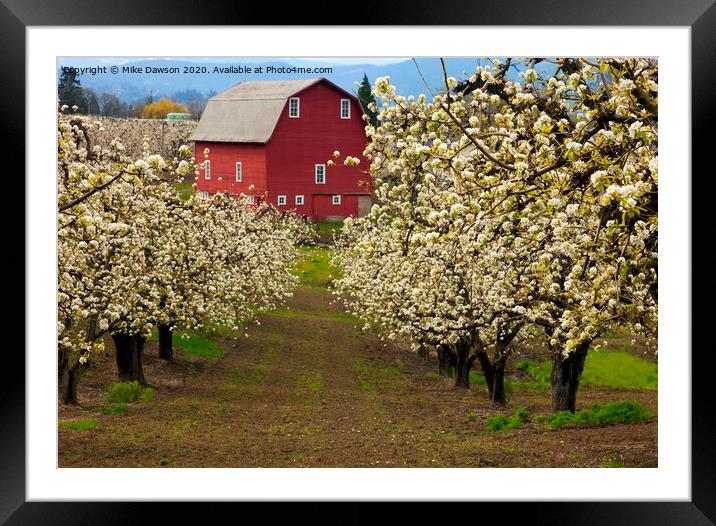 Red Barn Spring Framed Mounted Print by Mike Dawson