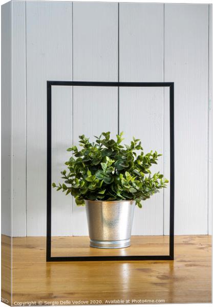 A blank black frame  and a flowerpot Canvas Print by Sergio Delle Vedove