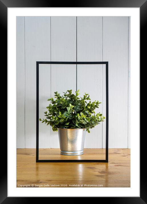 A blank black frame  and a flowerpot Framed Mounted Print by Sergio Delle Vedove