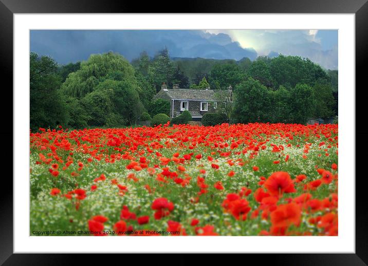 Dark Skies Bright Poppies Framed Mounted Print by Alison Chambers