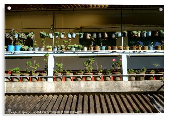 Potted garden Acrylic by George Haddad