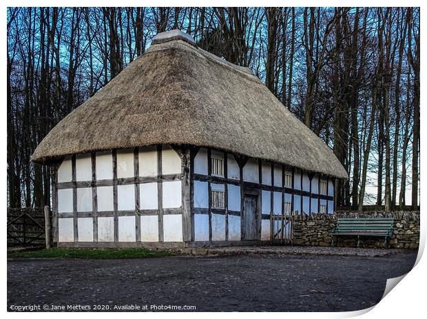 Thatched Roof Print by Jane Metters