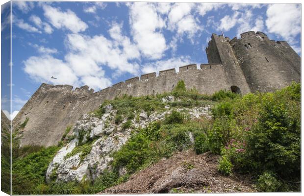Pembroke Castle, North East Wall Canvas Print by Paddy Art