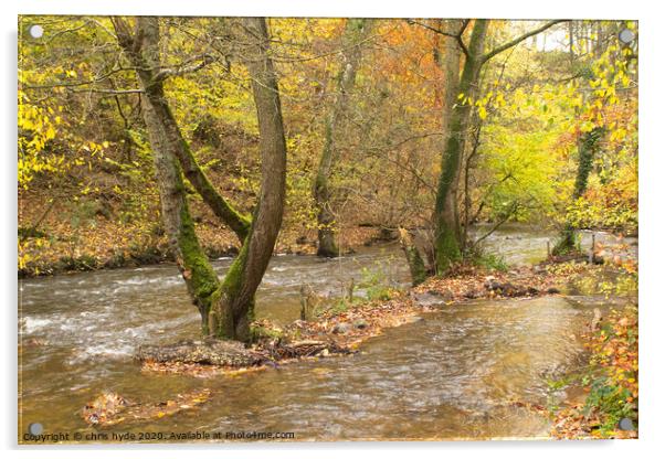 River Alyn Loggerheads Acrylic by chris hyde