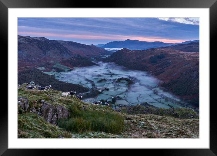 Dawn breaks over Borrowdale, The Lake District Framed Mounted Print by Dan Ward