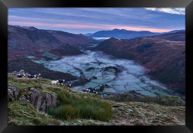 Dawn breaks over Borrowdale, The Lake District Framed Print by Dan Ward