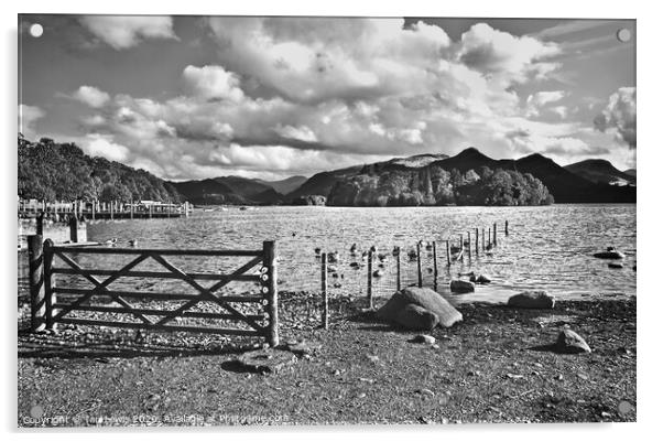 Crow Park Shoreline Monochrome Acrylic by Ian Lewis