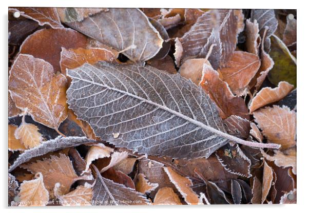 Frosty leaves  Acrylic by Robert Thrift