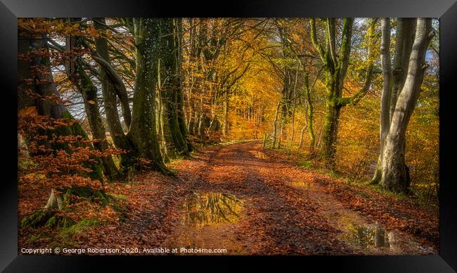 Autumn Colours on a country lane Framed Print by George Robertson