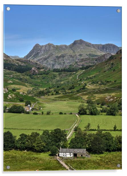 A Summers day in Little Langdale, The Lake District Acrylic by Dan Ward