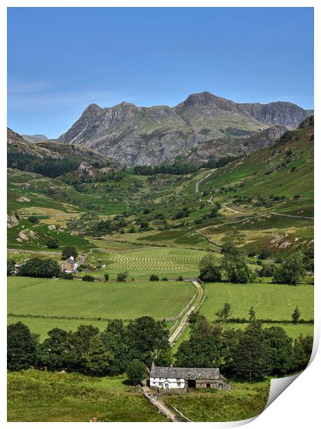 A Summers day in Little Langdale, The Lake District Print by Dan Ward