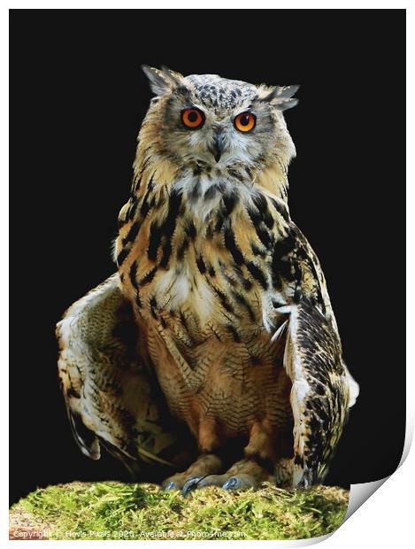 Eagle Owl  (Bubo bubo) Print by Dave Burden