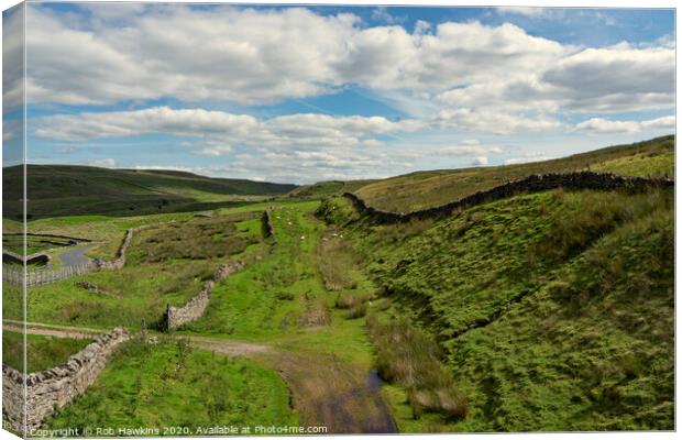 Stainmore Trackbed  Canvas Print by Rob Hawkins