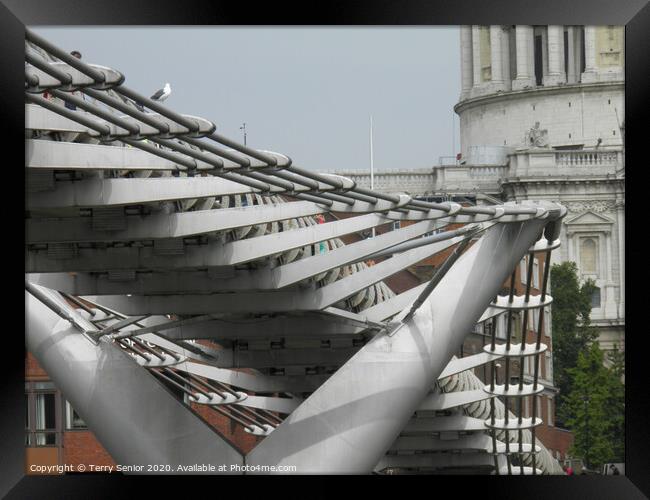Millenium Footbridge from the South Bank of the Th Framed Print by Terry Senior