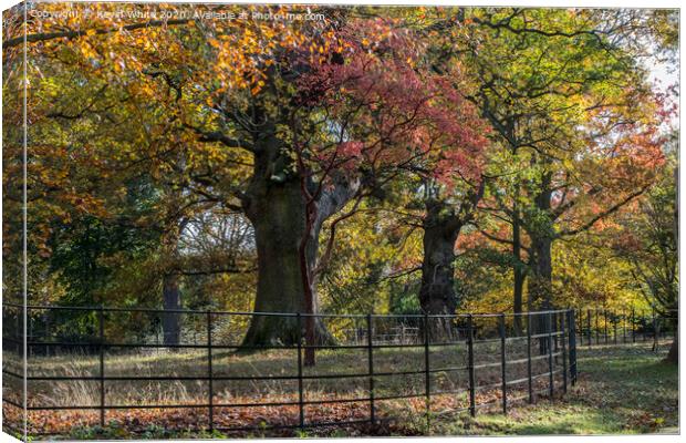 Gardens of Pembrook lodge in autumn Canvas Print by Kevin White