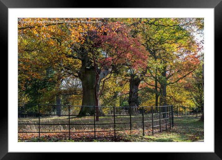 Gardens of Pembrook lodge in autumn Framed Mounted Print by Kevin White