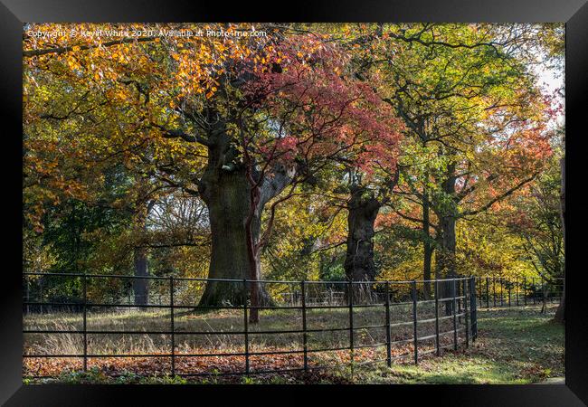 Gardens of Pembrook lodge in autumn Framed Print by Kevin White