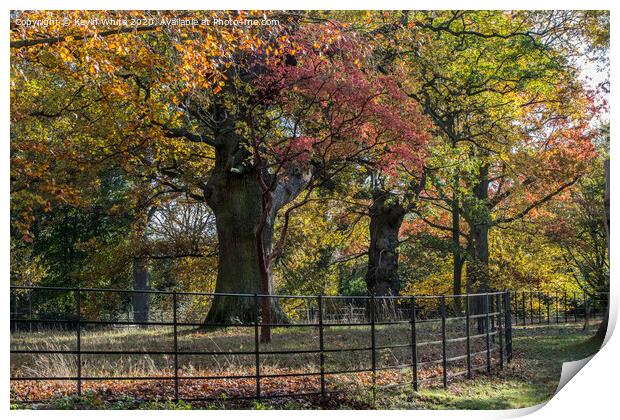 Gardens of Pembrook lodge in autumn Print by Kevin White