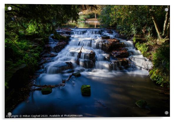 Carshalton Ponds Waterfall Acrylic by Milton Cogheil