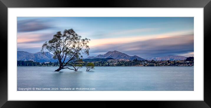 The Lone tree at Lake Wanaka Framed Mounted Print by Paul James