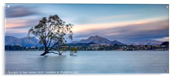 The Lone tree at Lake Wanaka Acrylic by Paul James