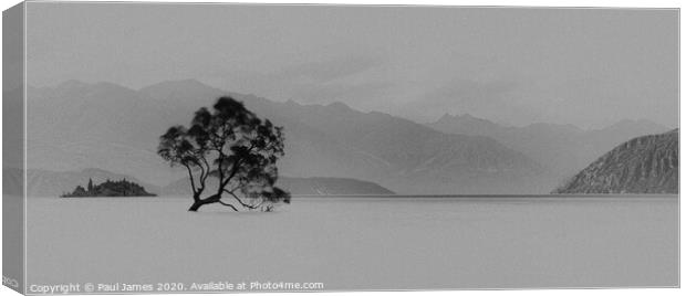 The lone tree at Wanaka Canvas Print by Paul James