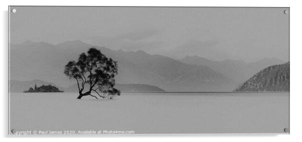 The lone tree at Wanaka Acrylic by Paul James