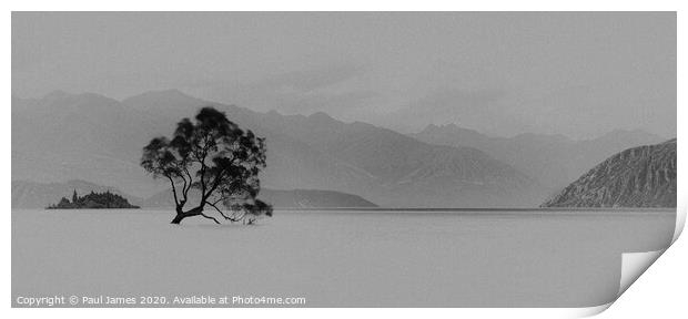 The lone tree at Wanaka Print by Paul James