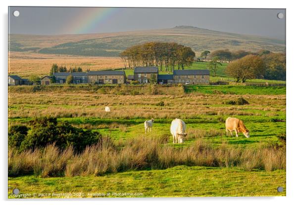 Powder Mills, Dartmoor Acrylic by Paul F Prestidge