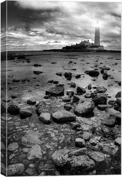 St Marys Lighthouse and Rocks Canvas Print by Toon Photography