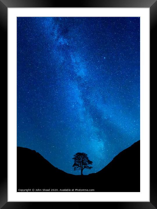 Sycamore Tree Milky Way Framed Mounted Print by Northern Wild
