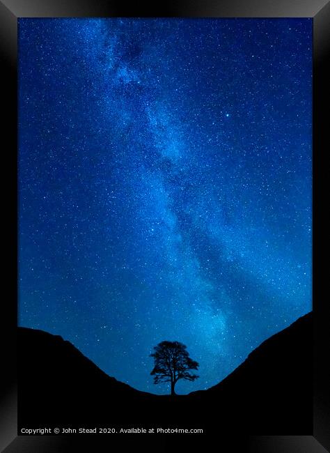 Sycamore Tree Milky Way Framed Print by Northern Wild