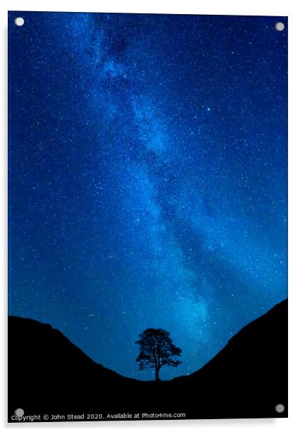 Sycamore Tree Milky Way Acrylic by Northern Wild