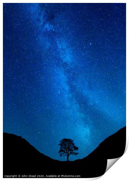 Sycamore Tree Milky Way Print by Northern Wild