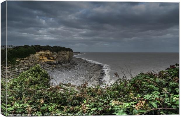 A Gloomy Day Canvas Print by Jane Metters