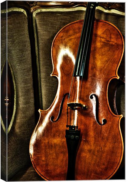 Violin Canvas Print by Nathan Wright